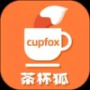 茶杯狐cupfox官方正版